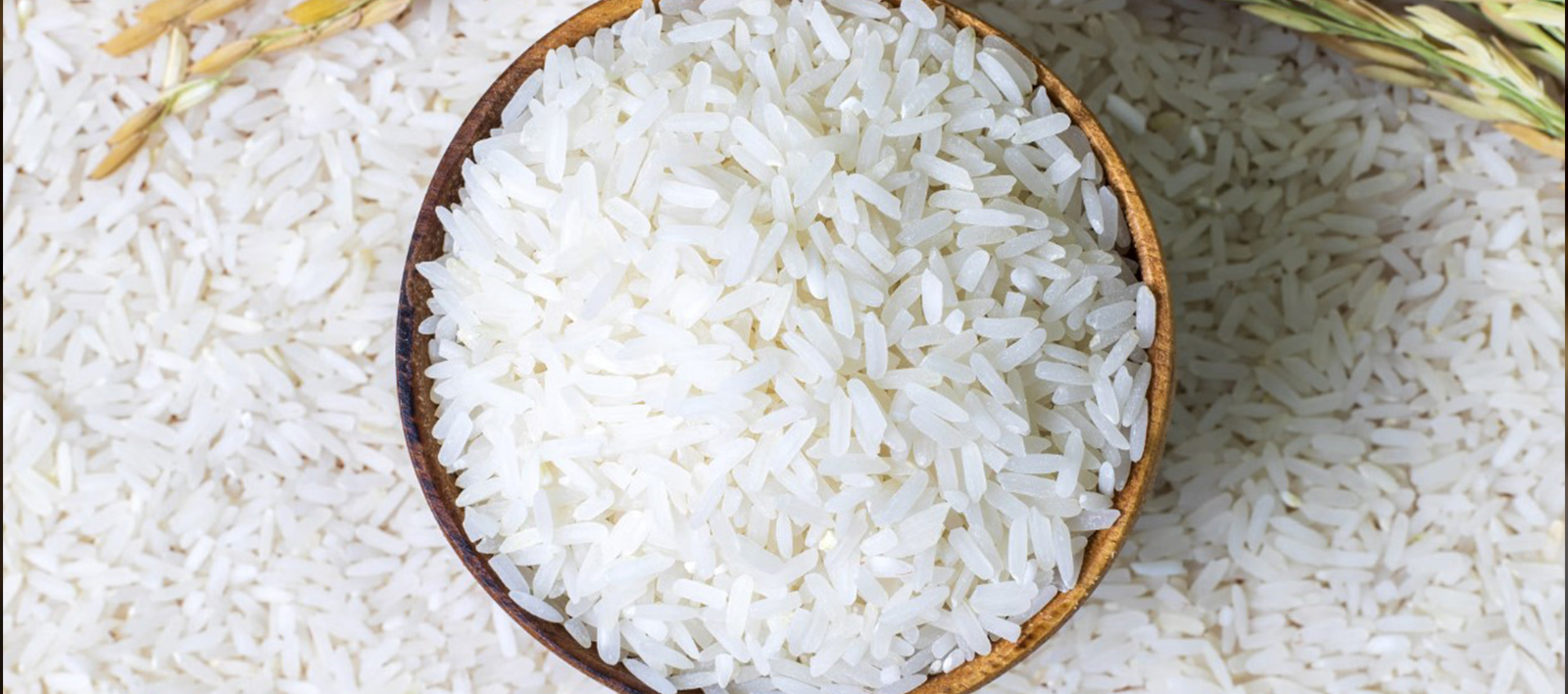 Premium Rice